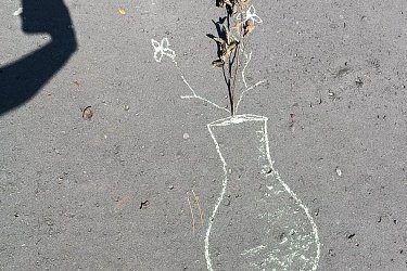 Obrázek č.15